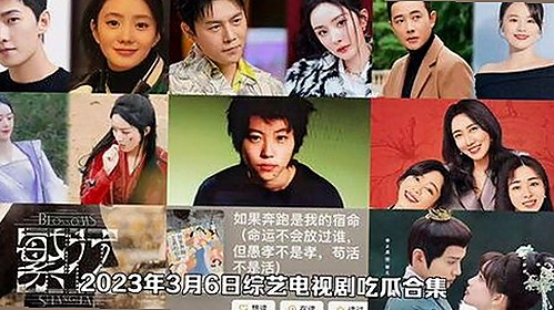 吃瓜视角下的娱乐圈：揭秘明星魅力与幕后真相的时间线梳理