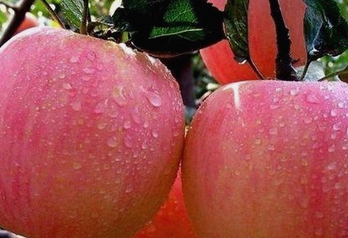 揭秘五一吃瓜热潮：从舆论风暴到真相还原的时间线梳理